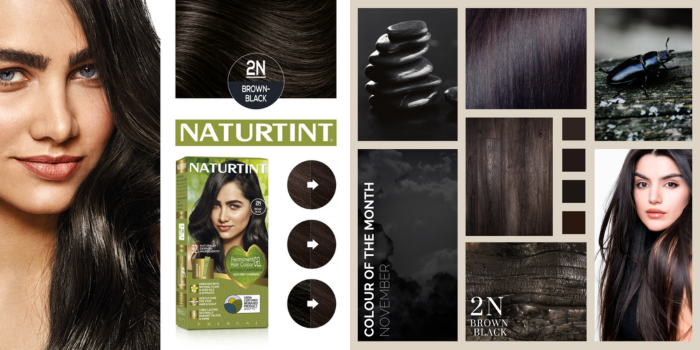 packaging of 2N, hair colour for november pick, along with extra swatches